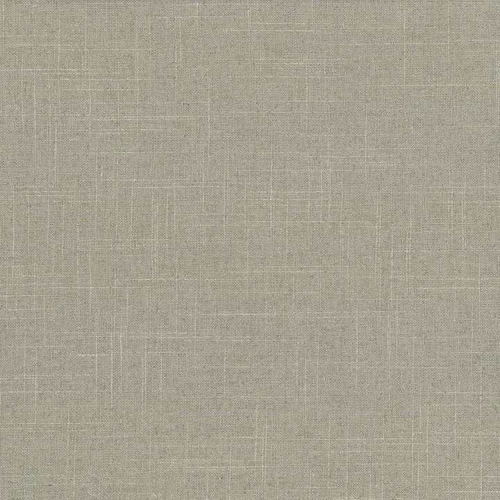 Brigadoon Pebble by Kasmir Fabric 1377 55% Linen
45% Rayon
 CHINA 12,000 Wyzenbeek Double Rubs Horizontal: N/A and Vertical: N/A 54 - Fabric Carolina -
