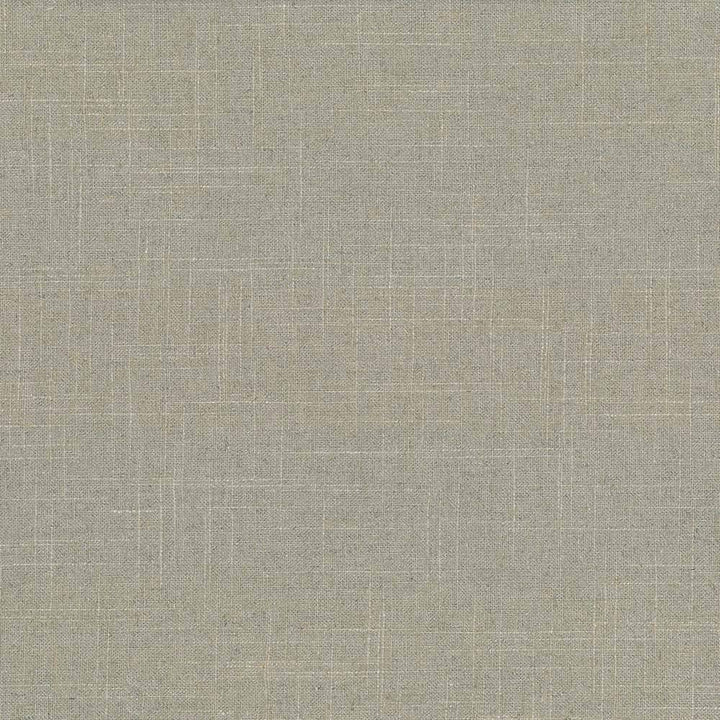 Brigadoon Pebble by Kasmir Fabric 5048 55% Linen 45% Rayon CHINA 12,000 Wyzenbeek Double Rubs H: N/A, V:N/A 54 - 55 - Fabric Carolina - Kasmir