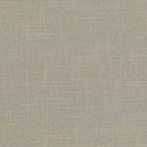 Brigadoon Pebble by Kasmir Fabric