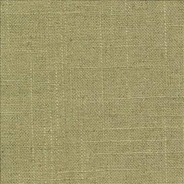 Brigadoon Peridot by Kasmir Fabric 1377 55% Linen 45% Rayon CHINA 12,000 Wyzenbeek Double Rubs H: N/A, V: N/A 54 - 55 - Fabric Carolina - Kasmir