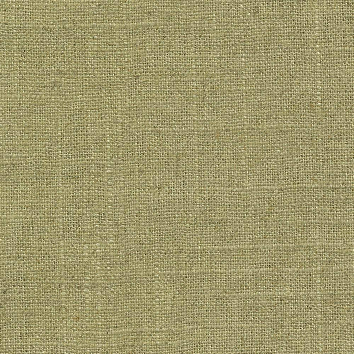 Brigadoon Peridot by Kasmir Fabric 1377 55% Linen 45% Rayon CHINA 12,000 Wyzenbeek Double Rubs H: N/A, V:N/A 54 - 55 - Fabric Carolina - Kasmir