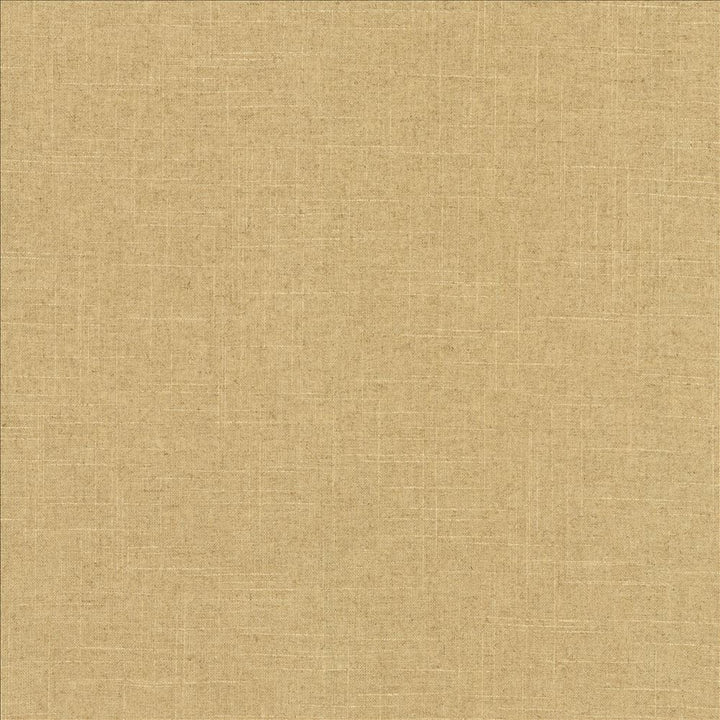 Brigadoon Plantain by Kasmir Fabric 5175 55% Linen
45% Rayon
 CHINA </p><p>Repeat: Horizontal: N/A and Vertical: N/A 54 - 55 - Fabric Carolina -