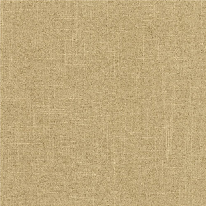 Brigadoon Rain by Kasmir Fabric 5175 55% Linen
45% Rayon
 CHINA </p><p>Repeat: Horizontal: N/A and Vertical: N/A 54 - 55 - Fabric Carolina -