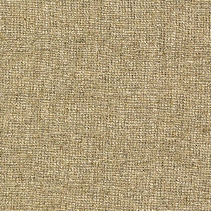 Brigadoon Semolina by Kasmir Fabric 1377 55% Linen 45% Rayon CHINA 12,000 Wyzenbeek Double Rubs H: N/A, V:N/A 54 - 55 - Fabric Carolina - Kasmir