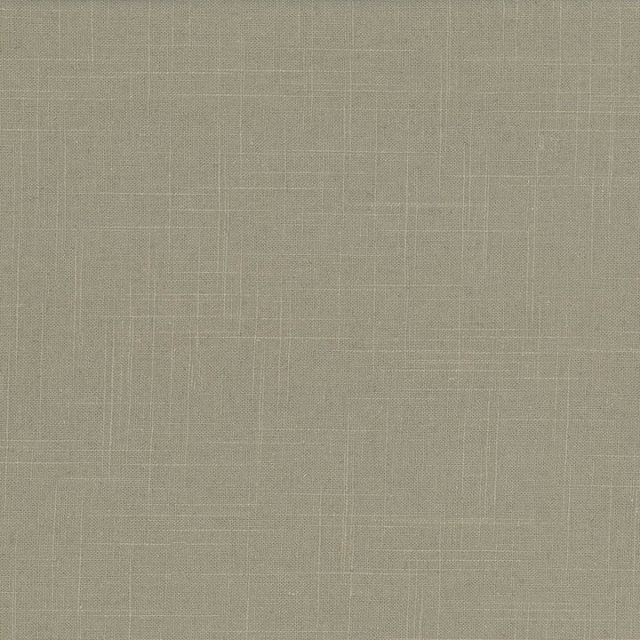 Brigadoon Stone by Kasmir Fabric 5048 55% Linen
45% Rayon
 CHINA </p><p>Repeat: Horizontal: N/A and Vertical: N/A 54 - 55 - Fabric Carolina -