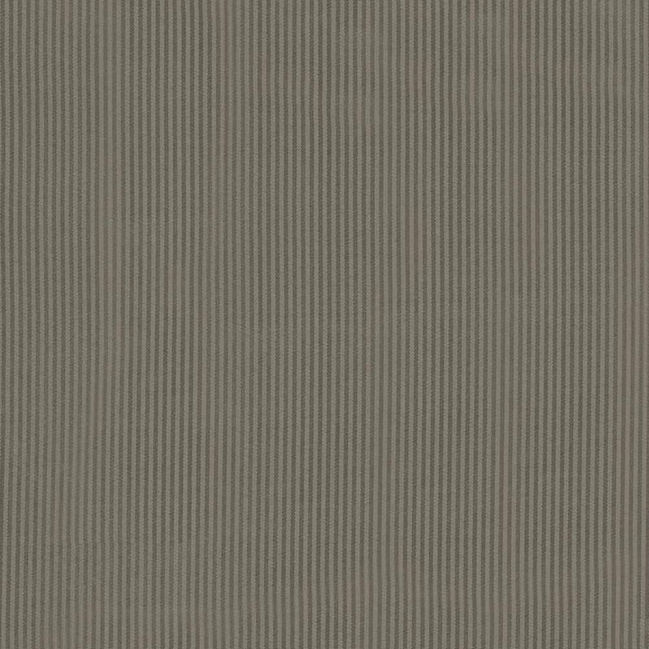 Bright Lights Grey by Kasmir Fabric 5092 100% Polyester TAIWAN 6,000 Wyzenbeek Double Rubs H: 2/8 inches, V:N/A 58 - 60 - Fabric Carolina - Kasmir