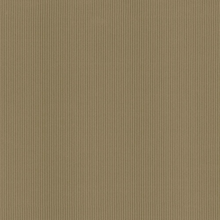 Bright Lights Latte by Kasmir Fabric 5093 100% Polyester
 TAIWAN </p><p>Repeat: Horizontal: 2/8 inches and Vertical: N/A 58 - 60 - Fabric Carolina -