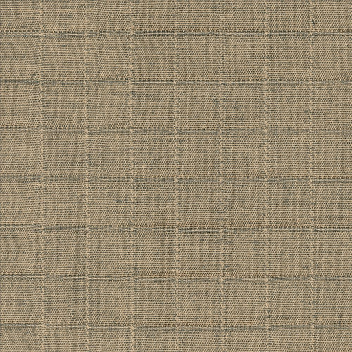 Brinkley Flint by Kasmir Fabric 1459 100% Linen
 CHINA 15,000 Wyzenbeek Double Rubs Horizontal: 2 inches and Vertical: 2 inches 54 - Fabric Carolina -