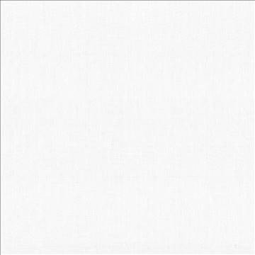 Broderick White by Kasmir Fabric 5035 100% Linen IRELAND Not Tested H: N/A, V: N/A 56 - 58 - Fabric Carolina - Kasmir