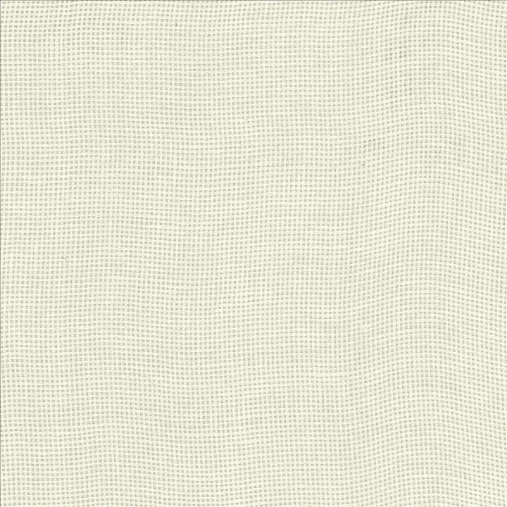 Bruno Ivory by Kasmir Fabric 1459 100% Linen
 POLAND </p><p>Repeat: Horizontal: N/A and Vertical: N/A 55 - Fabric Carolina -