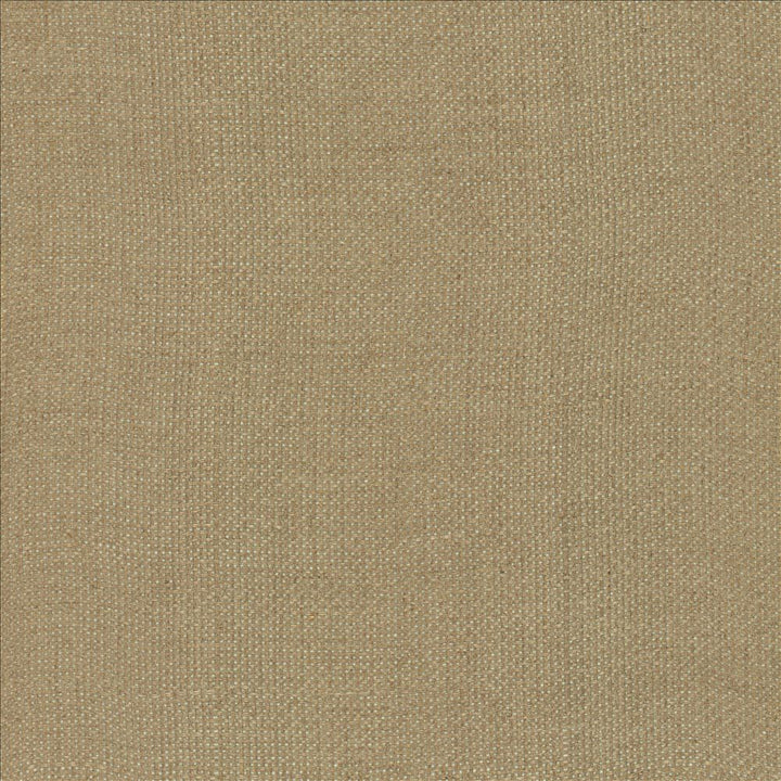Bruno Natural by Kasmir Fabric 1459 100% Linen
 POLAND Not Tested </p><p>Repeat: Horizontal: N/A and Vertical: N/A 55 - Fabric Carolina -