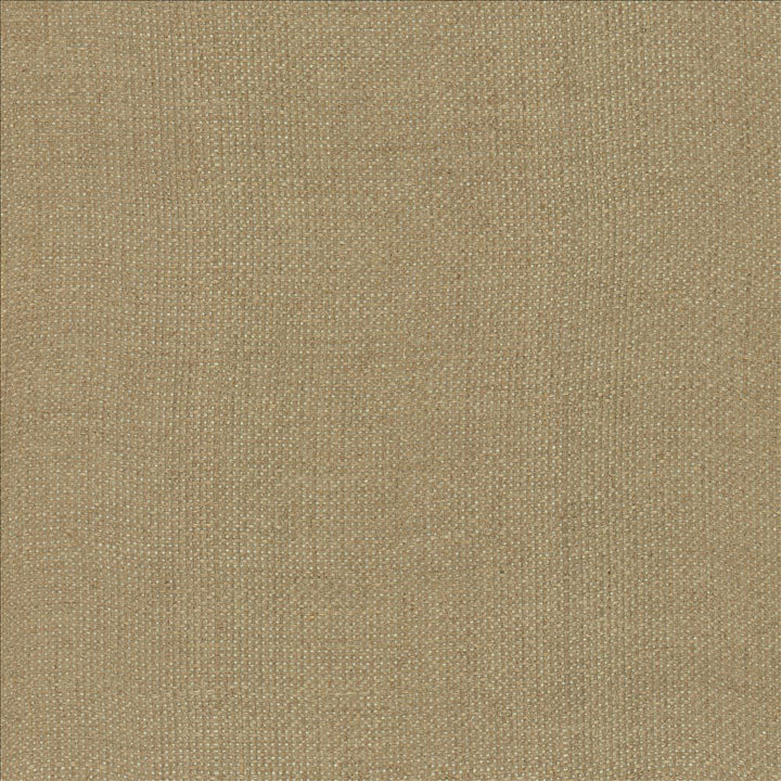 Bruno Natural by Kasmir Fabric 1459 100% Linen
 POLAND </p><p>Repeat: Horizontal: N/A and Vertical: N/A 55 - Fabric Carolina -