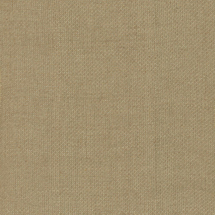 Bruno Natural by Kasmir Fabric 1459 100% Linen
 POLAND </p><p>Repeat: Horizontal: N/A and Vertical: N/A 55 - Fabric Carolina -