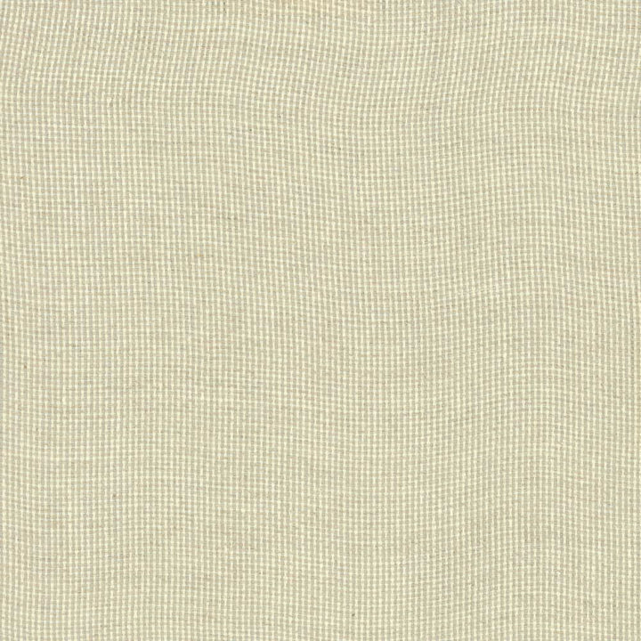 Bruno Oatmeal by Kasmir Fabric 1459 100% Linen
 POLAND </p><p>Repeat: Horizontal: N/A and Vertical: N/A 55 - Fabric Carolina -