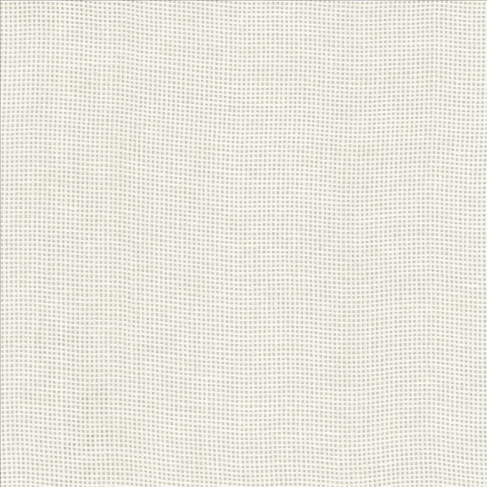 Bruno White by Kasmir Fabric 1459 100% Linen
 POLAND Not Tested </p><p>Repeat: Horizontal: N/A and Vertical: N/A 55 - Fabric Carolina -