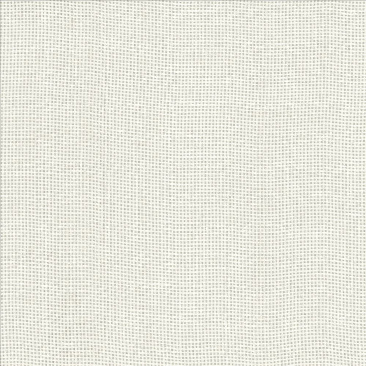 Bruno White by Kasmir Fabric 1459 100% Linen
 POLAND </p><p>Repeat: Horizontal: N/A and Vertical: N/A 55 - Fabric Carolina -