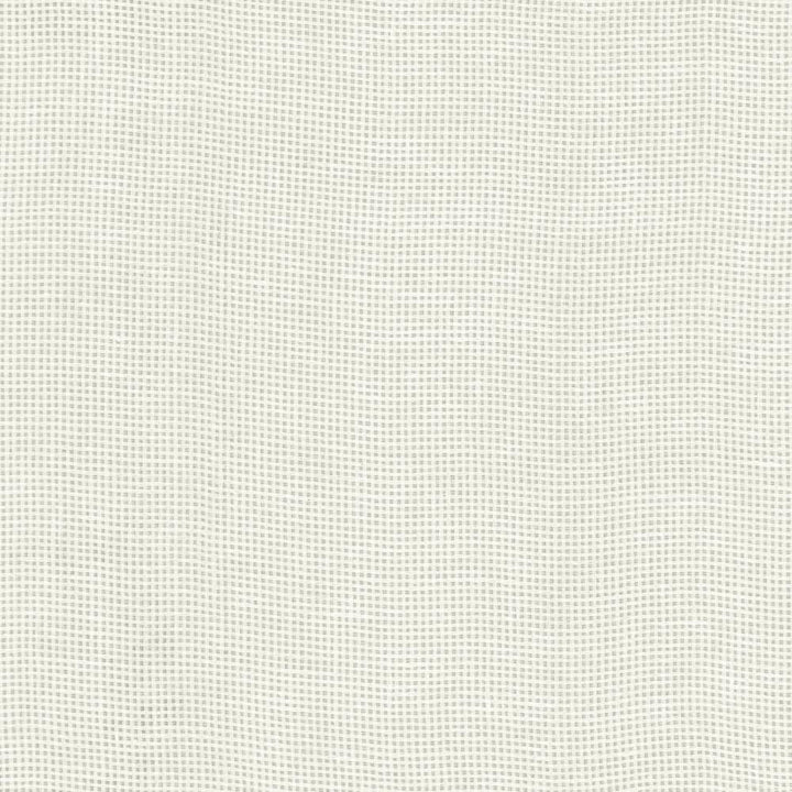 Bruno White by Kasmir Fabric 1459 100% Linen
 POLAND </p><p>Repeat: Horizontal: N/A and Vertical: N/A 55 - Fabric Carolina -