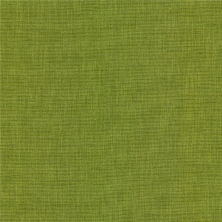 Brussels Grass by Kasmir Fabric 5117 83% Polyester
17% Cotton
 INDIA </p><p>Repeat: Horizontal: N/A and Vertical: N/A 54 - Fabric Carolina -
