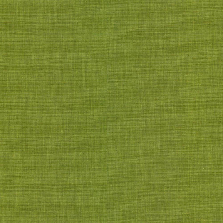 Brussels Grass by Kasmir Fabric 5117 83% Polyester 17% Cotton INDIA 10,000 Martindale Cycles H: N/A, V:N/A 54 - Fabric Carolina - Kasmir