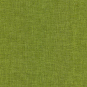 Brussels Grass by Kasmir Fabric