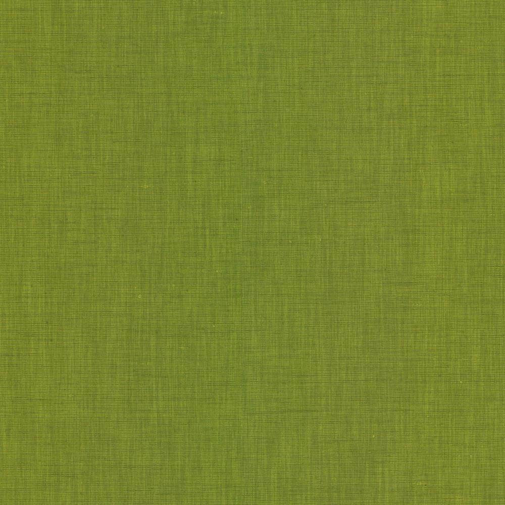 Brussels Grass by Kasmir Fabric 5117 83% Polyester
17% Cotton
 INDIA </p><p>Repeat: Horizontal: N/A and Vertical: N/A 54 - Fabric Carolina -