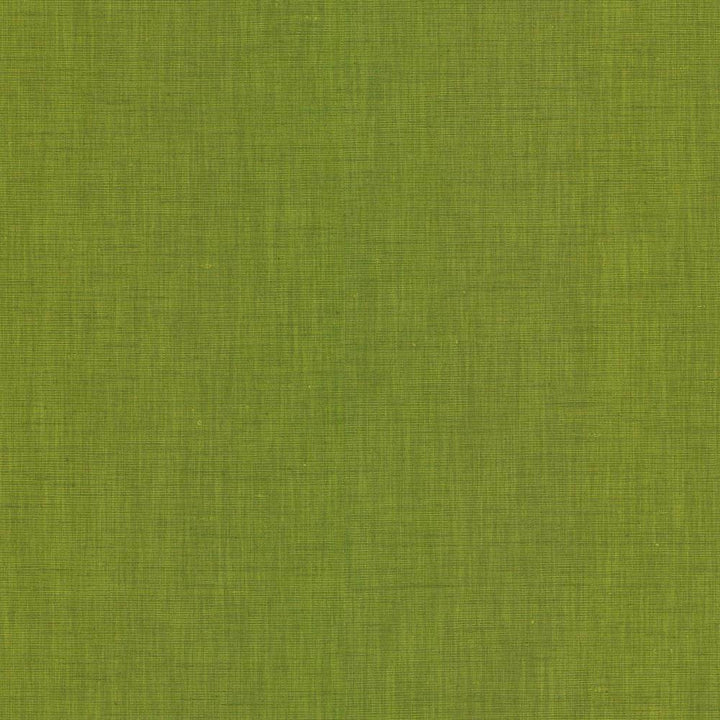Brussels Grass by Kasmir Fabric 5117 83% Polyester
17% Cotton
 INDIA </p><p>Repeat: Horizontal: N/A and Vertical: N/A 54 - Fabric Carolina -