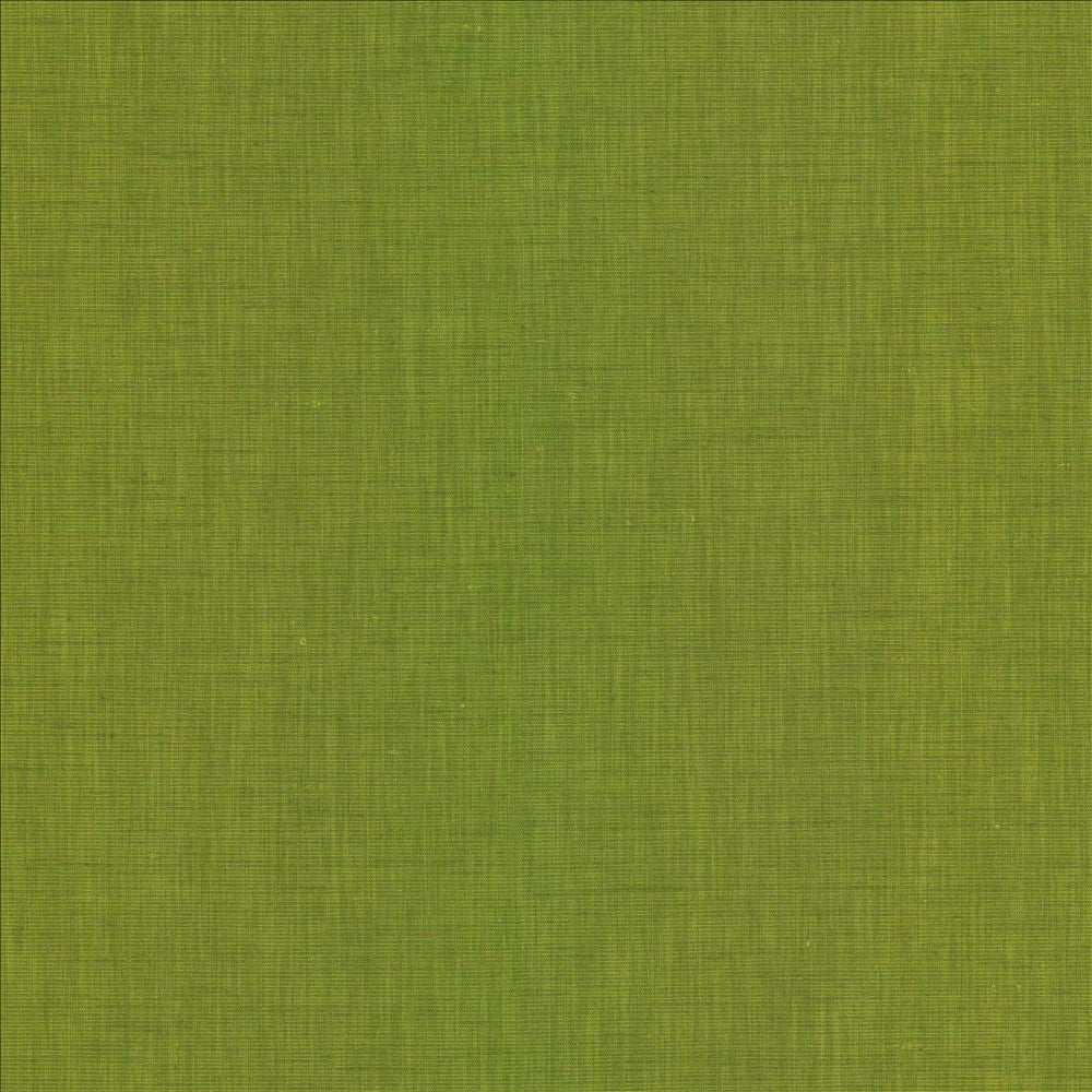 Brussels Grass by Kasmir Fabric 5117 83% Polyester 17% Cotton INDIA 10,000 Martindale Cycles Horizontal: 0 Inches and Vertical: 0 Inches 54 - Fabric Carolina -