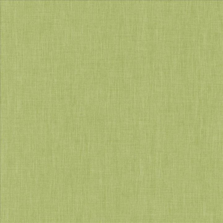 Brussels Honeydew by Kasmir Fabric 5117 83% Polyester
17% Cotton
 INDIA </p><p>Repeat: Horizontal: N/A and Vertical: N/A 54 - Fabric Carolina -