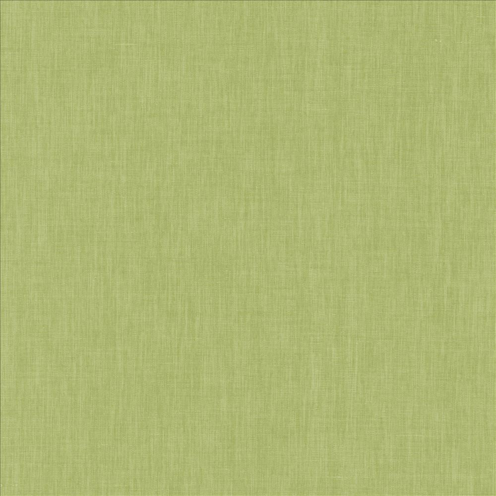 Brussels Honeydew by Kasmir Fabric 5117 83% Polyester
17% Cotton
 INDIA 10,000 Martindale Cycles Horizontal: N/A and Vertical: N/A 54 - Fabric Carolina -