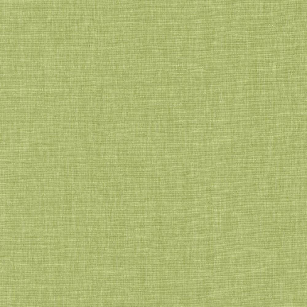 Brussels Honeydew by Kasmir Fabric 5117 83% Polyester
17% Cotton
 INDIA </p><p>Repeat: Horizontal: N/A and Vertical: N/A 54 - Fabric Carolina -