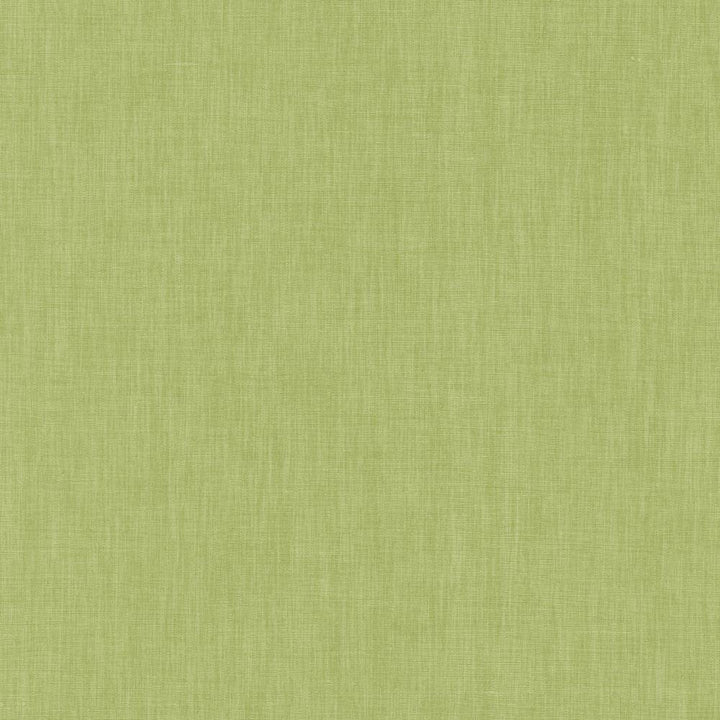 Brussels Honeydew by Kasmir Fabric 5117 83% Polyester
17% Cotton
 INDIA </p><p>Repeat: Horizontal: N/A and Vertical: N/A 54 - Fabric Carolina -