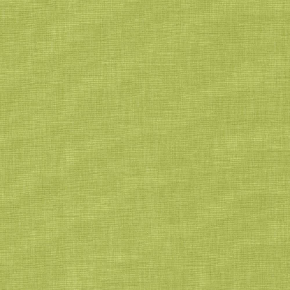 Brussels Kiwi by Kasmir Fabric 5117 83% Polyester 17% Cotton INDIA 10,000 Martindale Cycles H: N/A, V:N/A 54 - Fabric Carolina - Kasmir