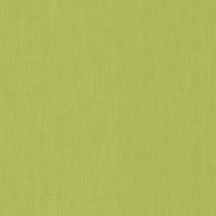 Brussels Kiwi by Kasmir Fabric 5117 83% Polyester 17% Cotton INDIA 10,000 Martindale Cycles H: N/A, V:N/A 54 - Fabric Carolina - Kasmir