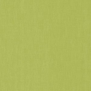 Brussels Kiwi by Kasmir Fabric