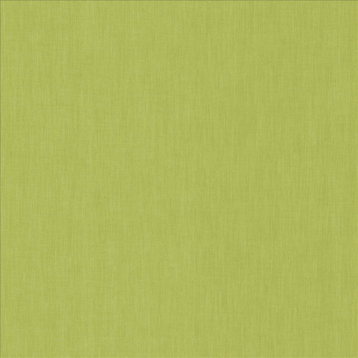 Brussels Kiwi by Kasmir Fabric 5117 83% Polyester
17% Cotton
 INDIA </p><p>Repeat: Horizontal: N/A and Vertical: N/A 54 - Fabric Carolina -