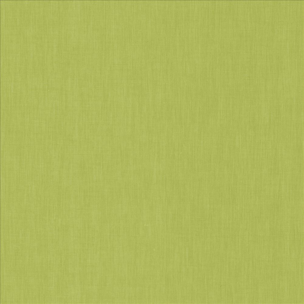 Brussels Kiwi  by Kasmir Fabric See sample 83% Polyester
17% Cotton
 INDIA 10,000 Martindale Cycles </p><p>Repeat: Horizontal: N/A and Vertical: N/A 54  - Fabric Carolina -