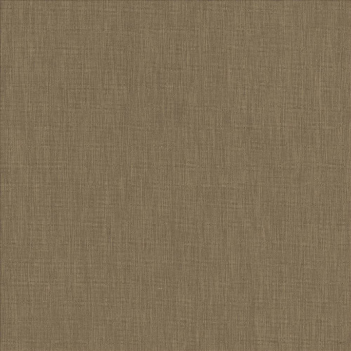 Brussels Linen by Kasmir Fabric 5117 83% Polyester
17% Cotton
 INDIA 10,000 Martindale Cycles Horizontal: N/A and Vertical: N/A 54 - Fabric Carolina -