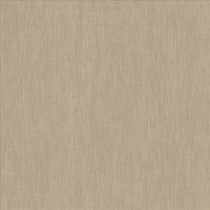 Brussels Mist  by Kasmir Fabric See sample 83% Polyester
17% Cotton
 INDIA 10,000 Martindale Cycles </p><p>Repeat: Horizontal: N/A and Vertical: N/A 54  - Fabric Carolina -