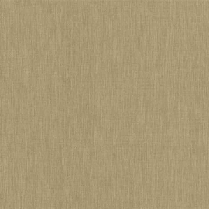 Brussels Pebble by Kasmir Fabric 5117 83% Polyester
17% Cotton
 INDIA 10,000 Martindale Cycles </p><p>Repeat: Horizontal: N/A and Vertical: N/A 54 - Fabric Carolina -