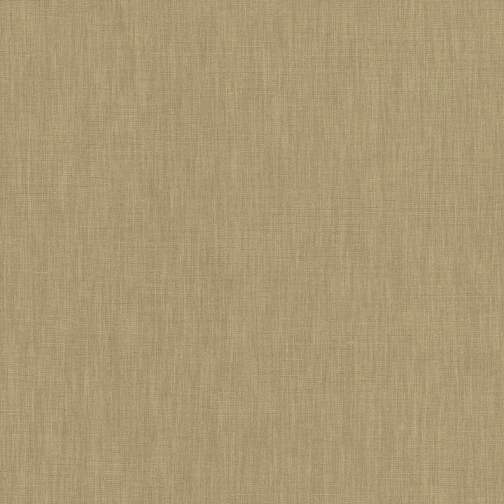Brussels Pebble by Kasmir Fabric 5117 83% Polyester
17% Cotton
 INDIA </p><p>Repeat: Horizontal: N/A and Vertical: N/A 54 - Fabric Carolina -