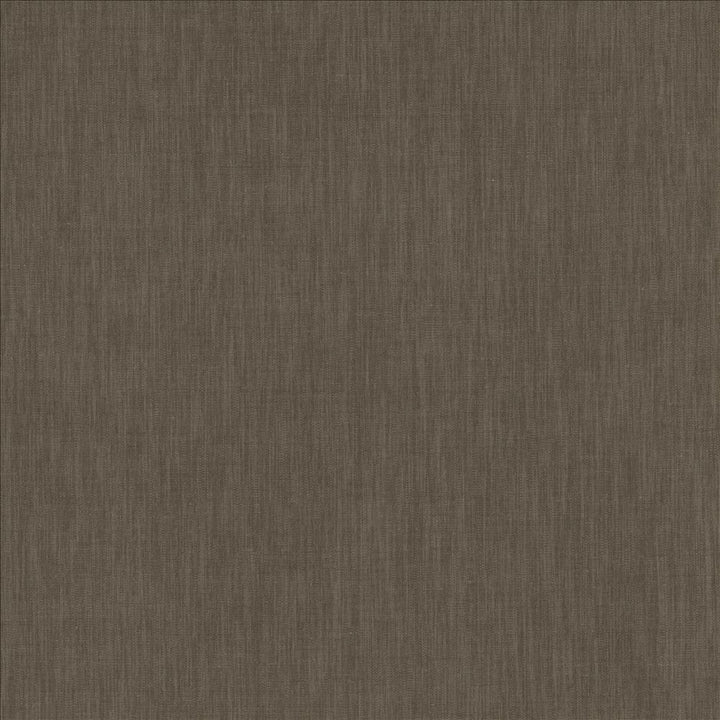 Brussels Silver by Kasmir Fabric 5117 83% Polyester
17% Cotton
 INDIA </p><p>Repeat: Horizontal: N/A and Vertical: N/A 54 - Fabric Carolina -