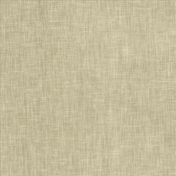 Brussels Suede by Kasmir Fabric 5117 83% Polyester
17% Cotton
 INDIA 10,000 Martindale Cycles </p><p>Repeat: Horizontal: N/A and Vertical: N/A 54 - Fabric Carolina -