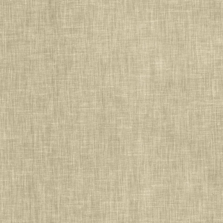 Brussels Suede by Kasmir Fabric 5117 83% Polyester 17% Cotton INDIA 10,000 Martindale Cycles H: N/A, V:N/A 54 - Fabric Carolina - Kasmir