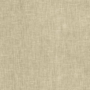 Brussels Suede by Kasmir Fabric