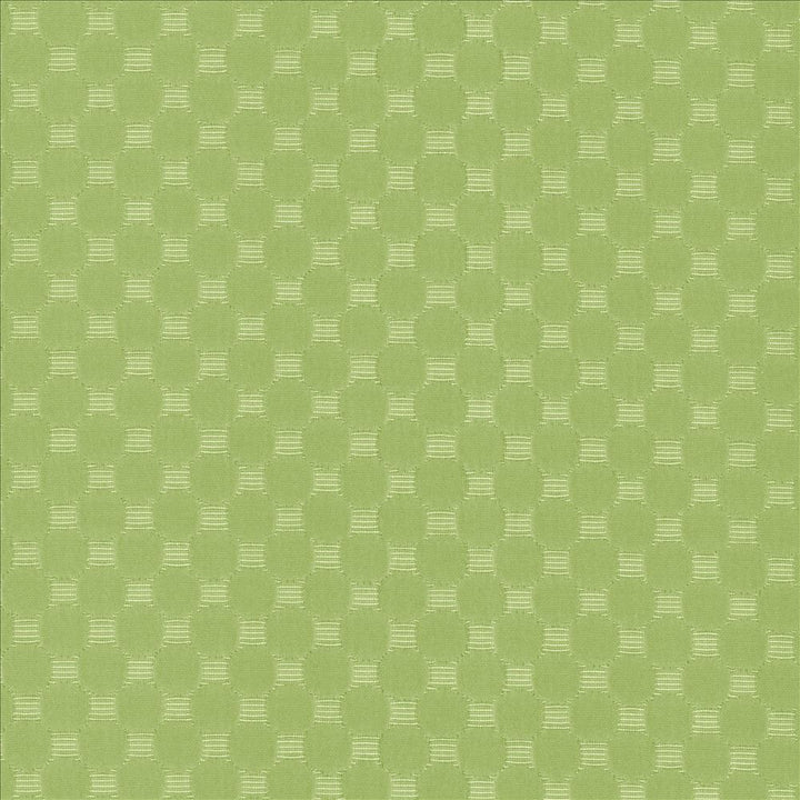 Bubble Bath Meadow  by Kasmir Fabric See sample 69% Cotton
31% Polyester
 CHINA 51,000 Wyzenbeek Double Rubs </p><p>Repeat: Horizontal: 1 inches and Vertical: 1 inches 57  - Fabric Carolina -