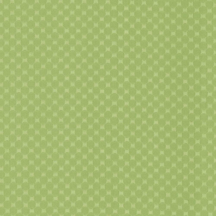 Bubble Bath Meadow by Kasmir Fabric 5099 69% Cotton 31% Polyester CHINA 51,000 Wyzenbeek Double Rubs H: 1 inches, V:1 inches 57 - Fabric Carolina - Kasmir