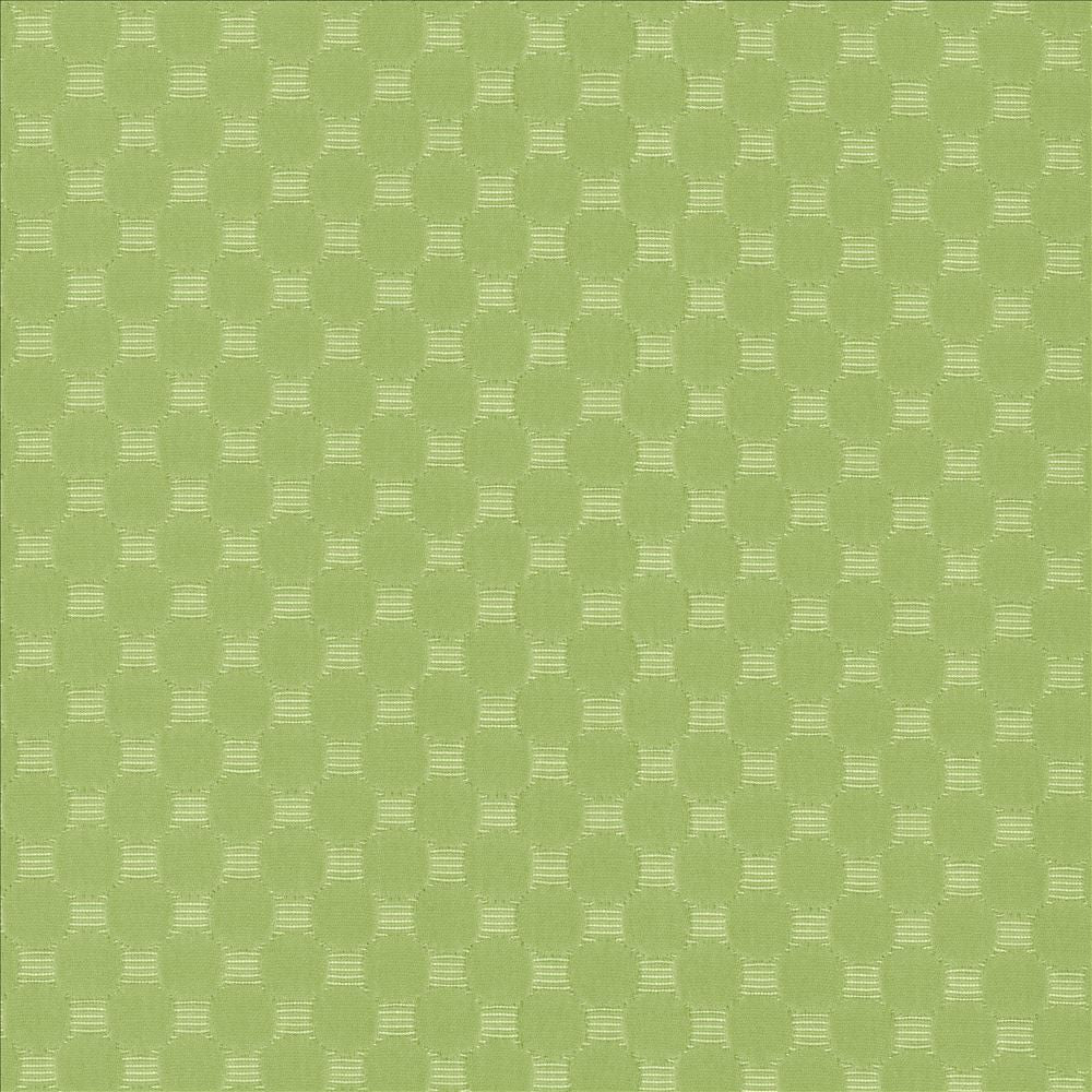Bubble Bath Meadow by Kasmir Fabric 5099 69% Cotton
31% Polyester
 CHINA 51,000 Wyzenbeek Double Rubs Horizontal: 1 inches and Vertical: 1 inches 57 - Fabric Carolina -
