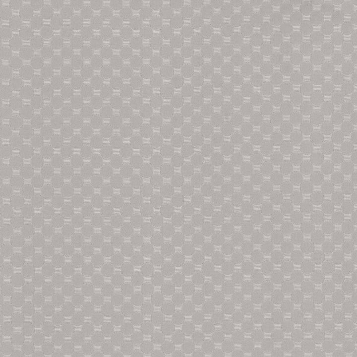 Bubble Bath Platinum by Kasmir Fabric 5100 69% Cotton 31% Polyester CHINA 51,000 Wyzenbeek Double Rubs H: 1 inches, V:1 inches 57 - Fabric Carolina - Kasmir