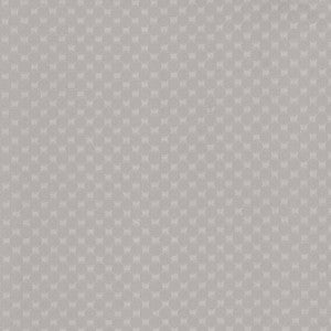 Bubble Bath Platinum by Kasmir Fabric