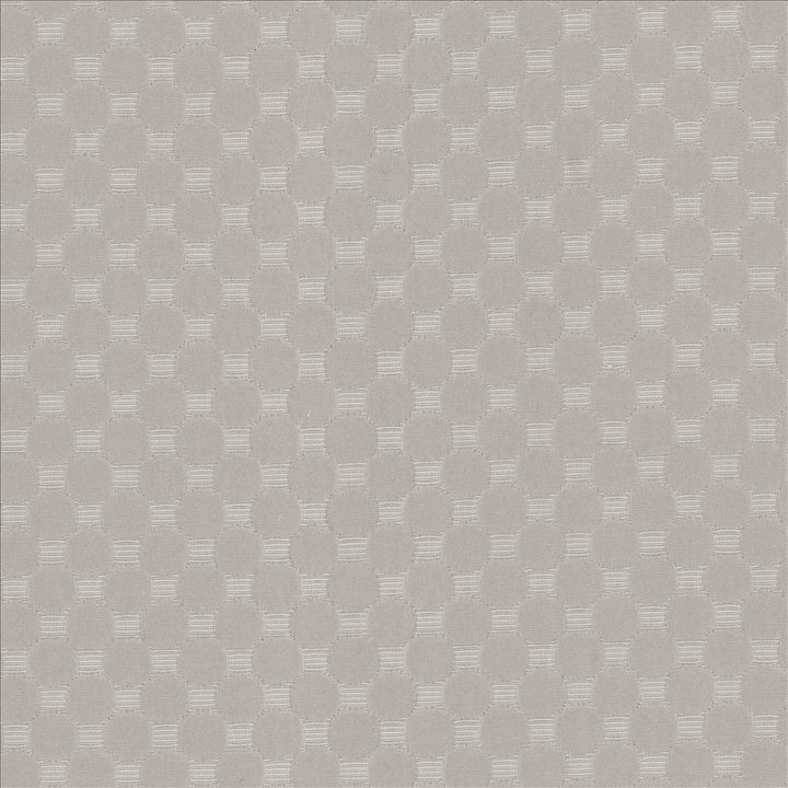 Bubble Bath Platinum by Kasmir Fabric 5100 69% Cotton
31% Polyester
 CHINA </p><p>Repeat: Horizontal: 1 inches and Vertical: 1 inches 57 - Fabric Carolina -